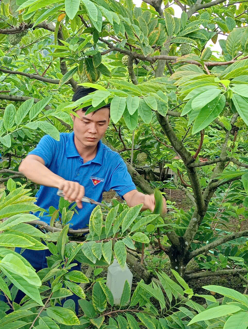 HUYỆN ĐOÀN THỦY NGUYÊN HỖ TRỢ THANH NIÊN TRONG VIỆC CHUYỂN ĐỔI SỐ PHÁT TRIỂN KINH DOANH